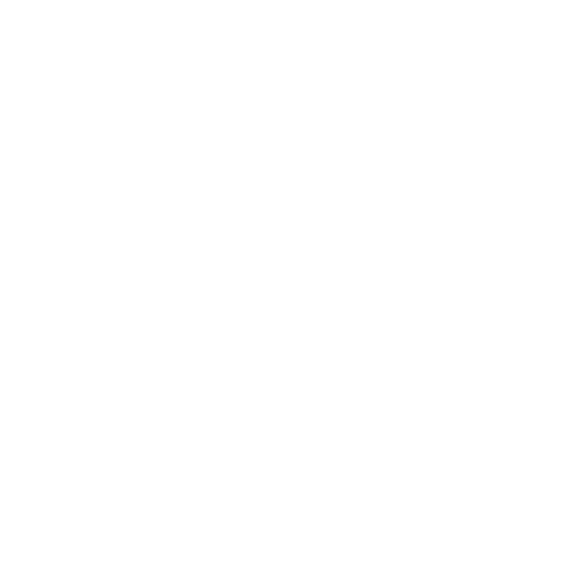 Slide 9